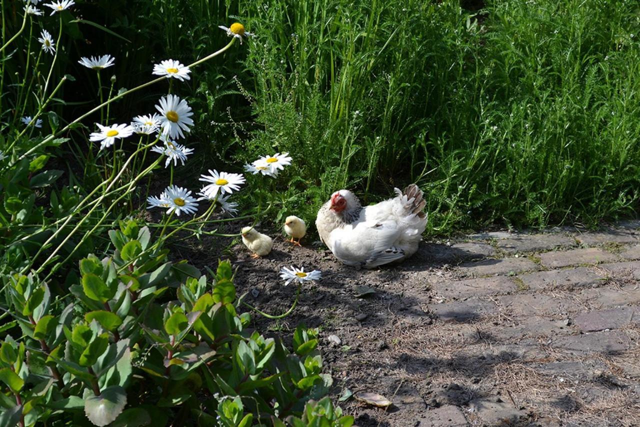 B&B Landgoed Rijckholt Geersdijk Kültér fotó